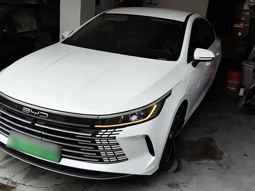 BYD Destroyer 05 2025 из CN, фото 5