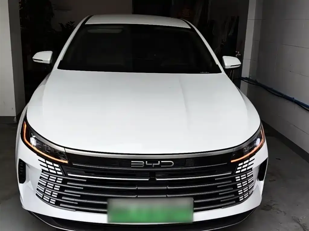 BYD Destroyer 05 2025 из CN, фото 8