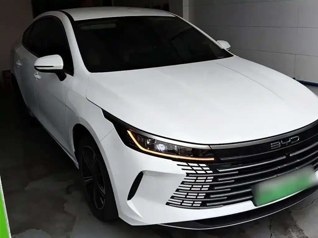 BYD Destroyer 05 2025 из CN, фото 2