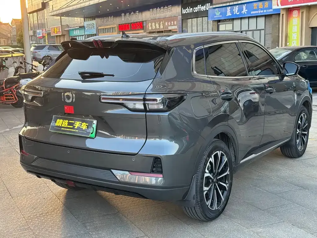 Qiyuan Q05 Classic 2024 из CN, фото 8