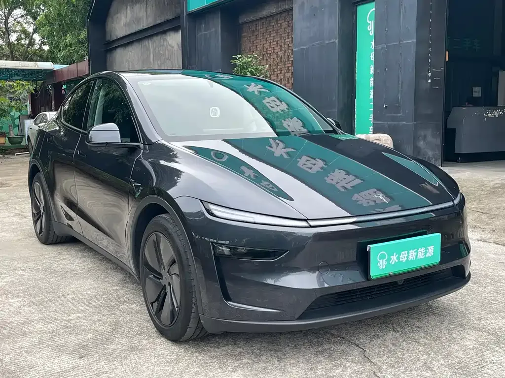Tesla Model Y — фото 2