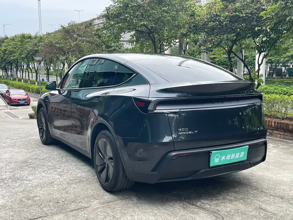 Tesla Model Y — фото 10