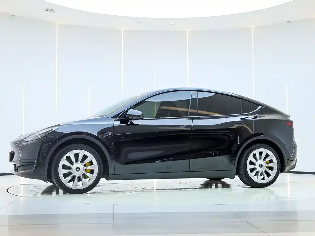 Tesla Model Y — фото 10