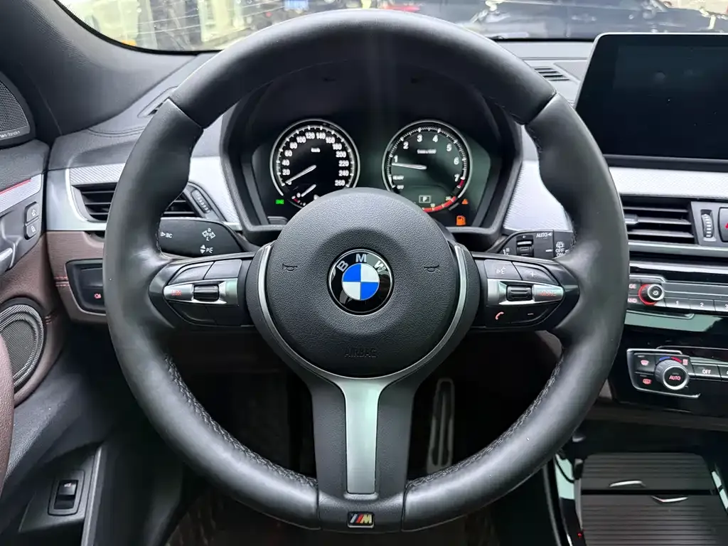 BMW X2 2021 из CN, фото 10