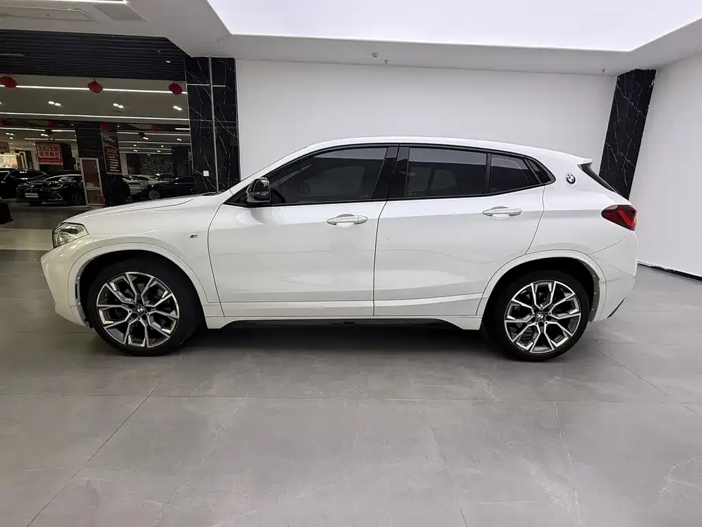 BMW X2 2021 из CN, фото 9