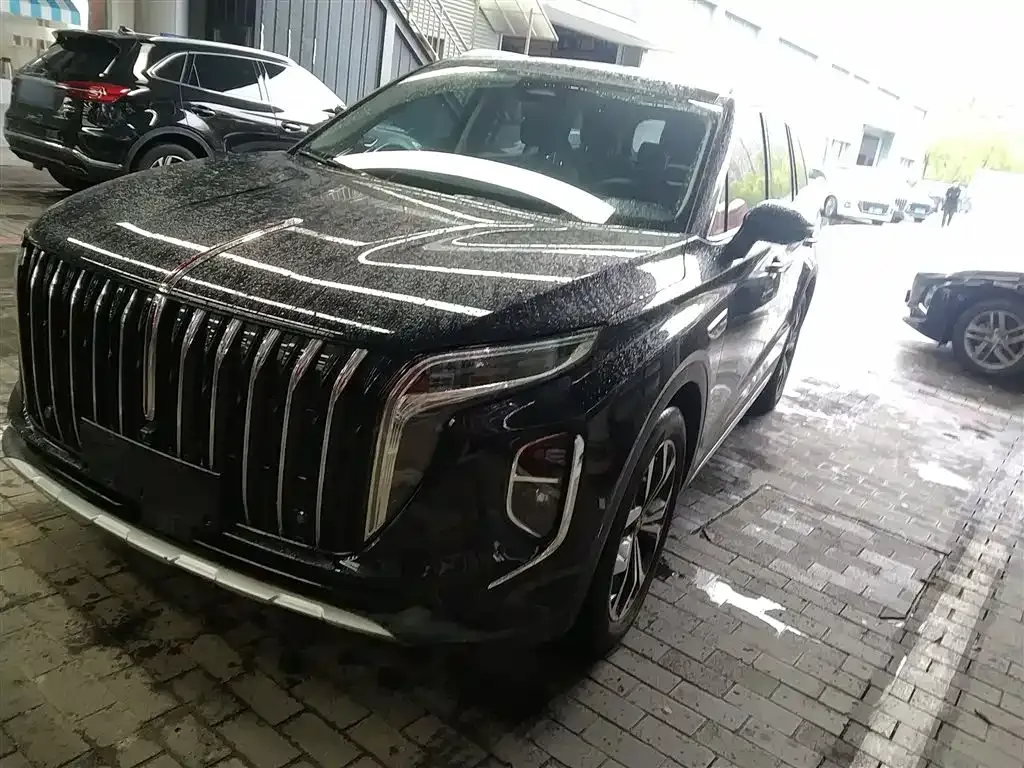 Hongqi HS7 2024 из CN, фото 7
