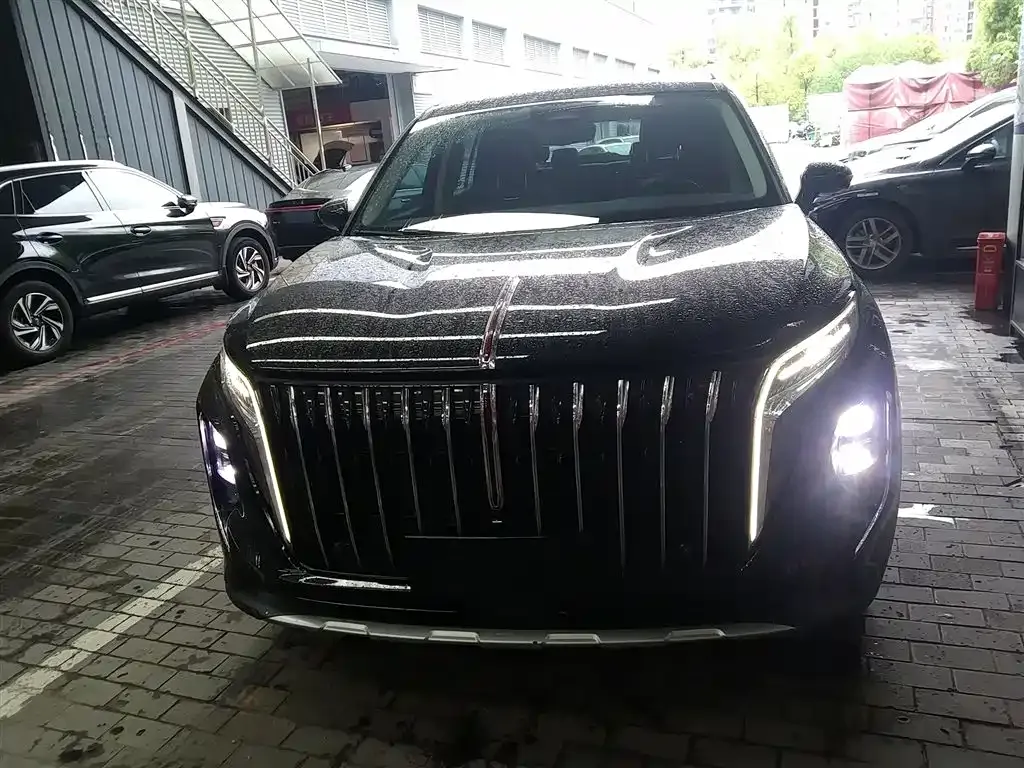 Hongqi HS7 2024 из CN, фото 8