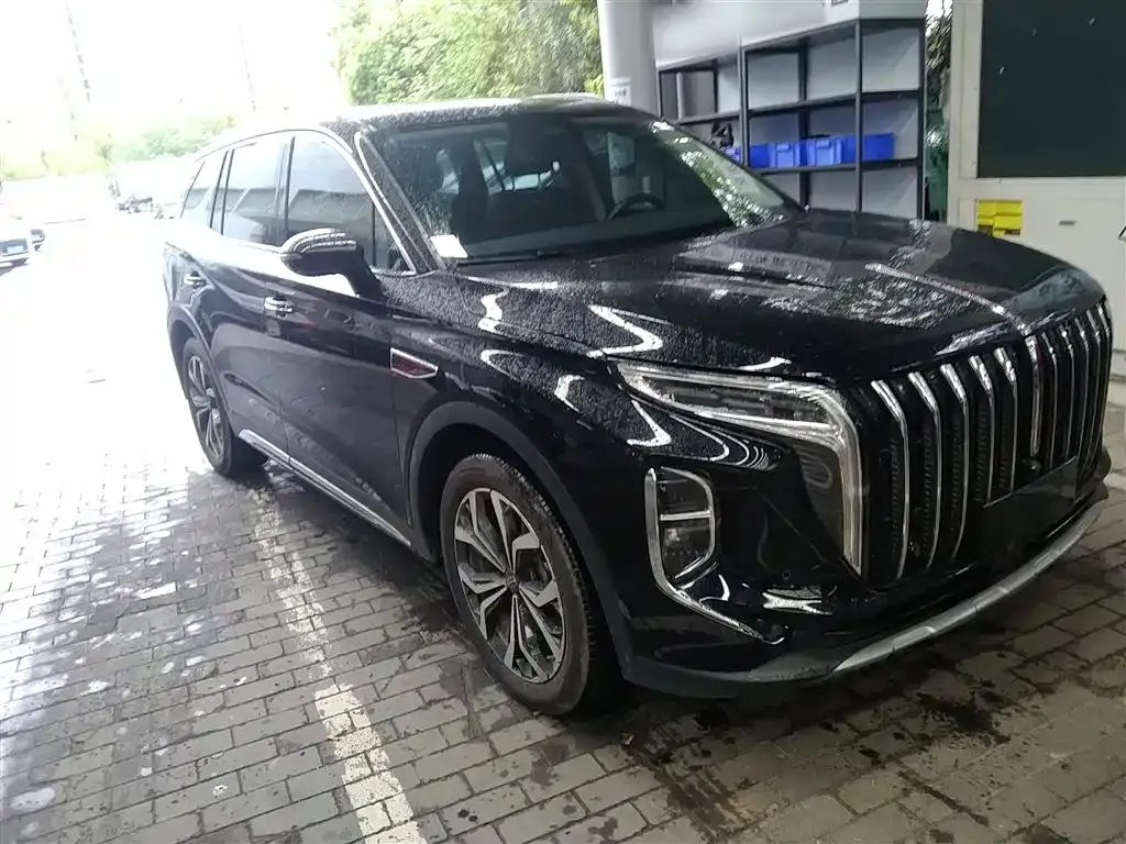 Hongqi HS7 2024 из CN, фото 2