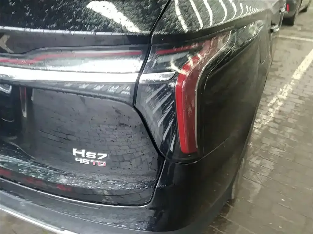 Hongqi HS7 2024 из CN, фото 3