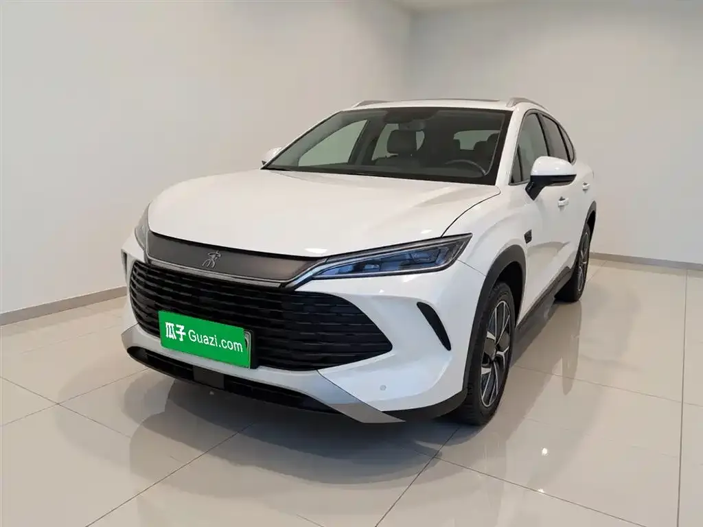 BYD L DM-i — фото 10