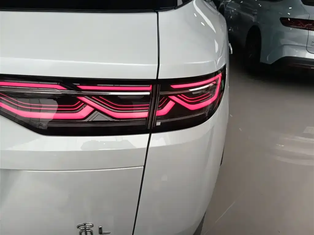 BYD L DM-i — фото 6