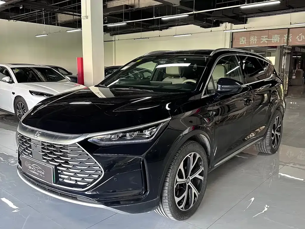 BYD Tang New Energy — фото 1