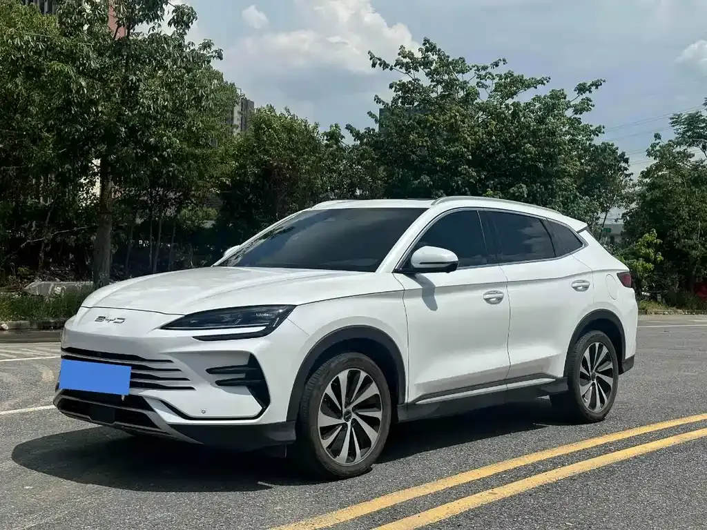 BYD PLUS New Energy 2024 из CN, фото 1
