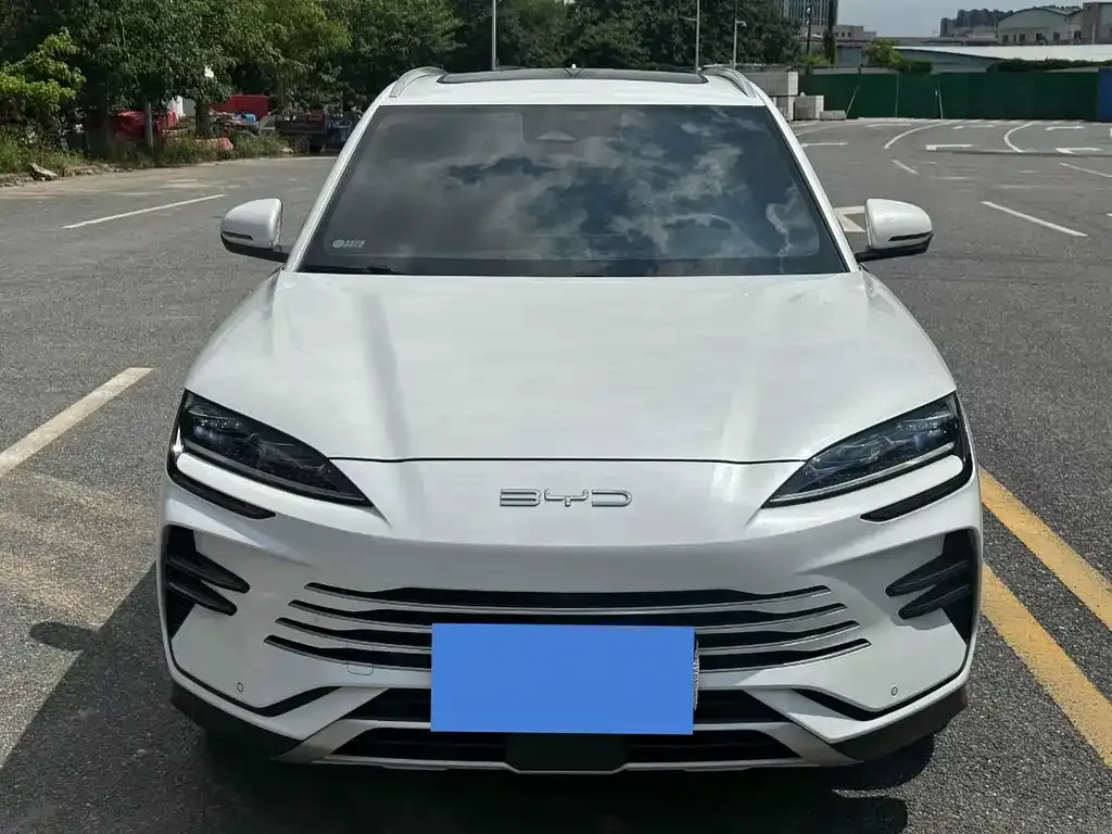 BYD PLUS New Energy 2024 из CN, фото 3