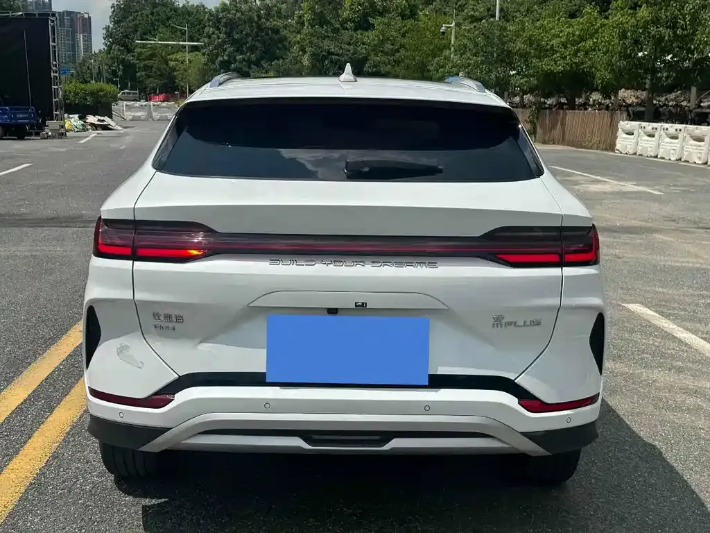 BYD PLUS New Energy 2024 из CN, фото 5