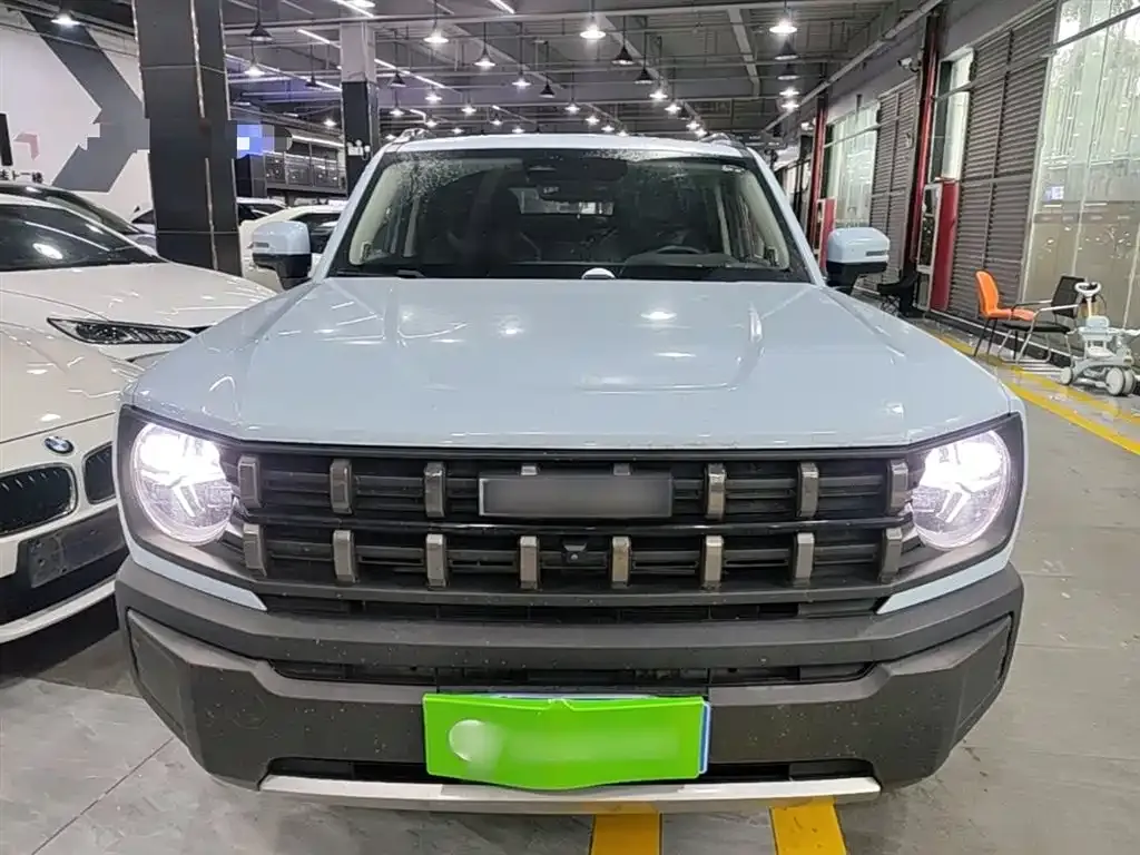 Haval Cool Dog — фото 10
