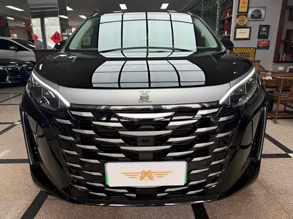 BYD Xia 2025 из CN, фото 4
