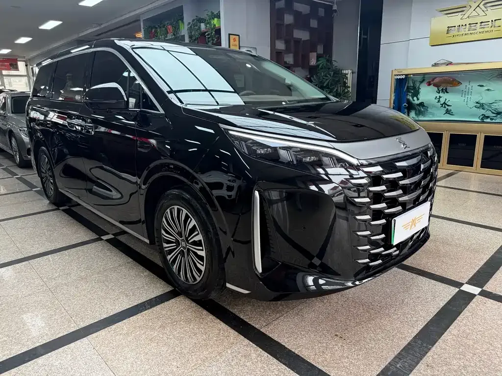 BYD Xia 2025 из CN, фото 9