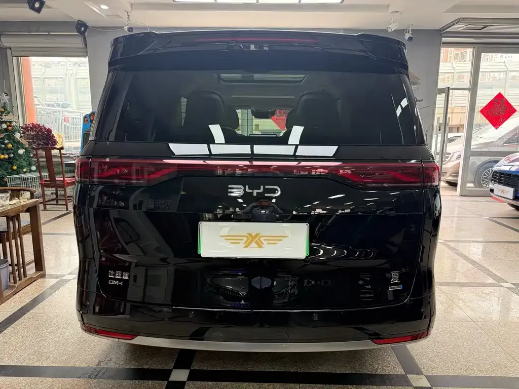 BYD Xia 2025 из CN, фото 8