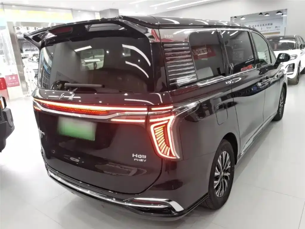 Hongqi HQ9 PHEV — фото 6