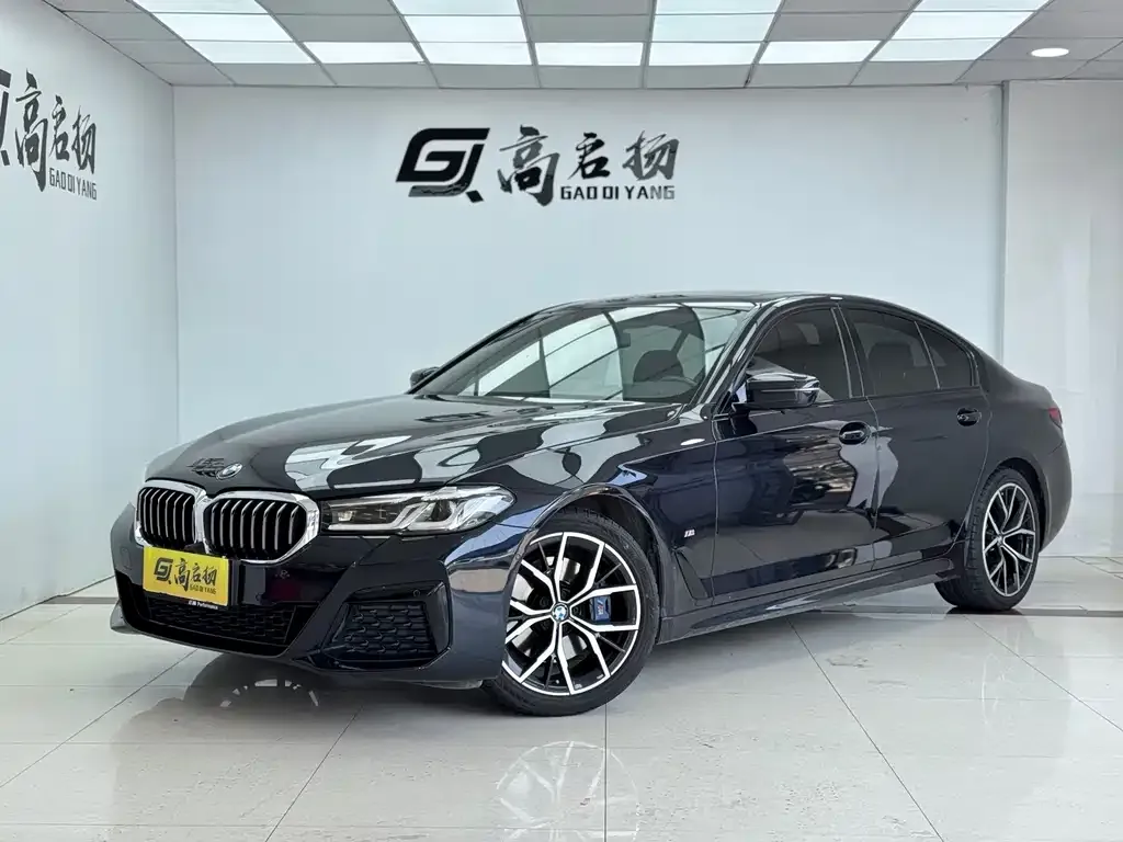 BMW 5 Series (Import)