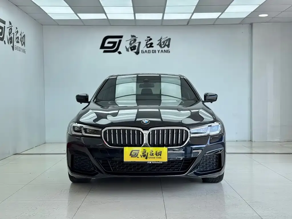 BMW 5 Series (Import) 2021 из CN, фото 3