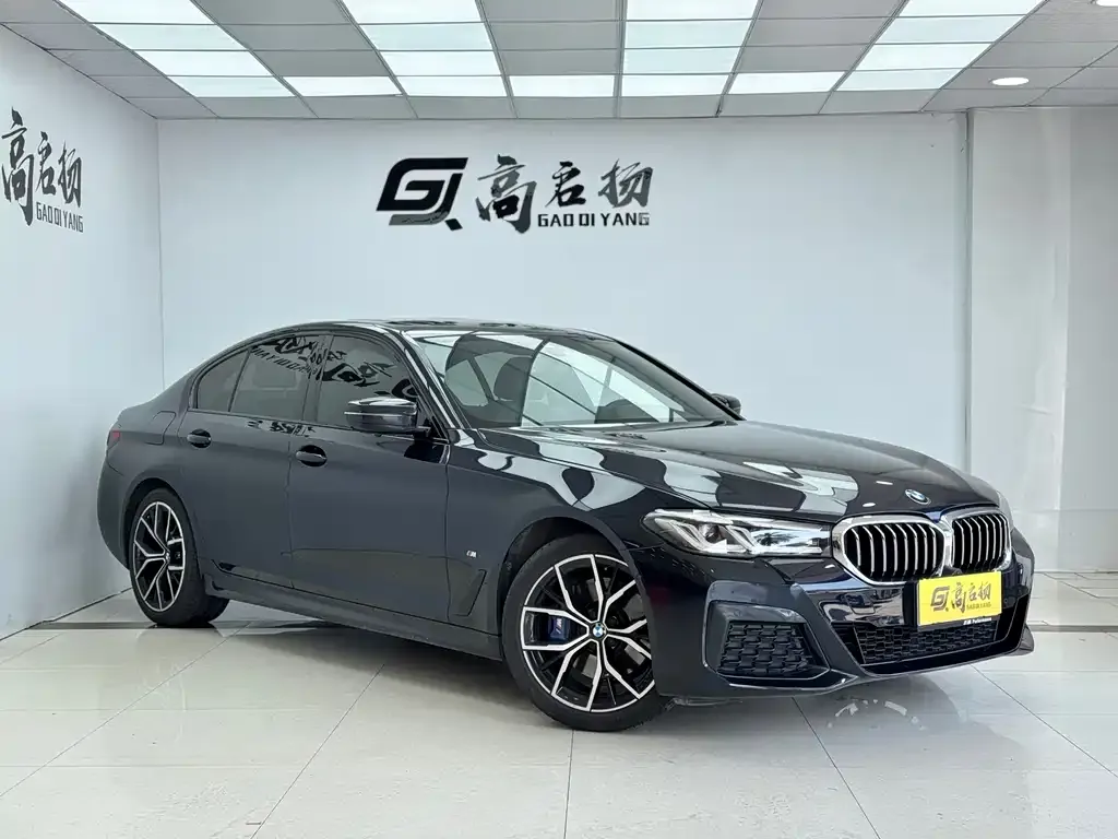 BMW 5 Series (Import) 2021 из CN, фото 5