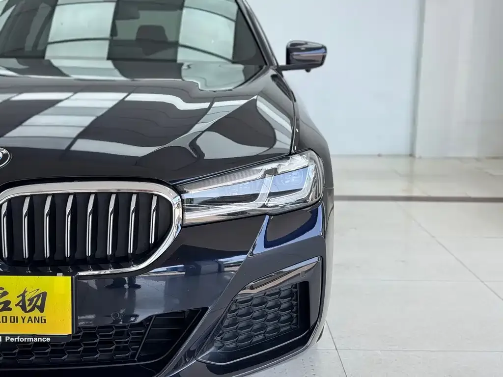 BMW 5 Series (Import) 2021 из CN, фото 2