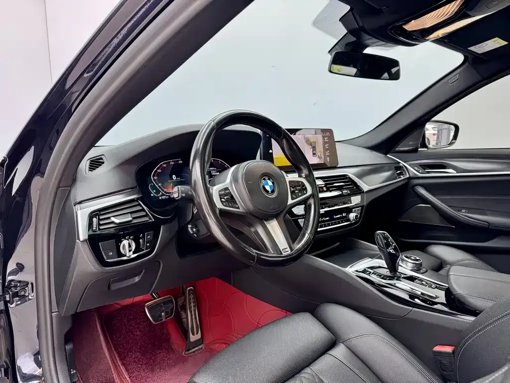 BMW 5 Series (Import) 2021 из CN, фото 10