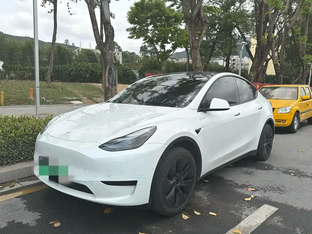 Tesla Model Y — фото 1
