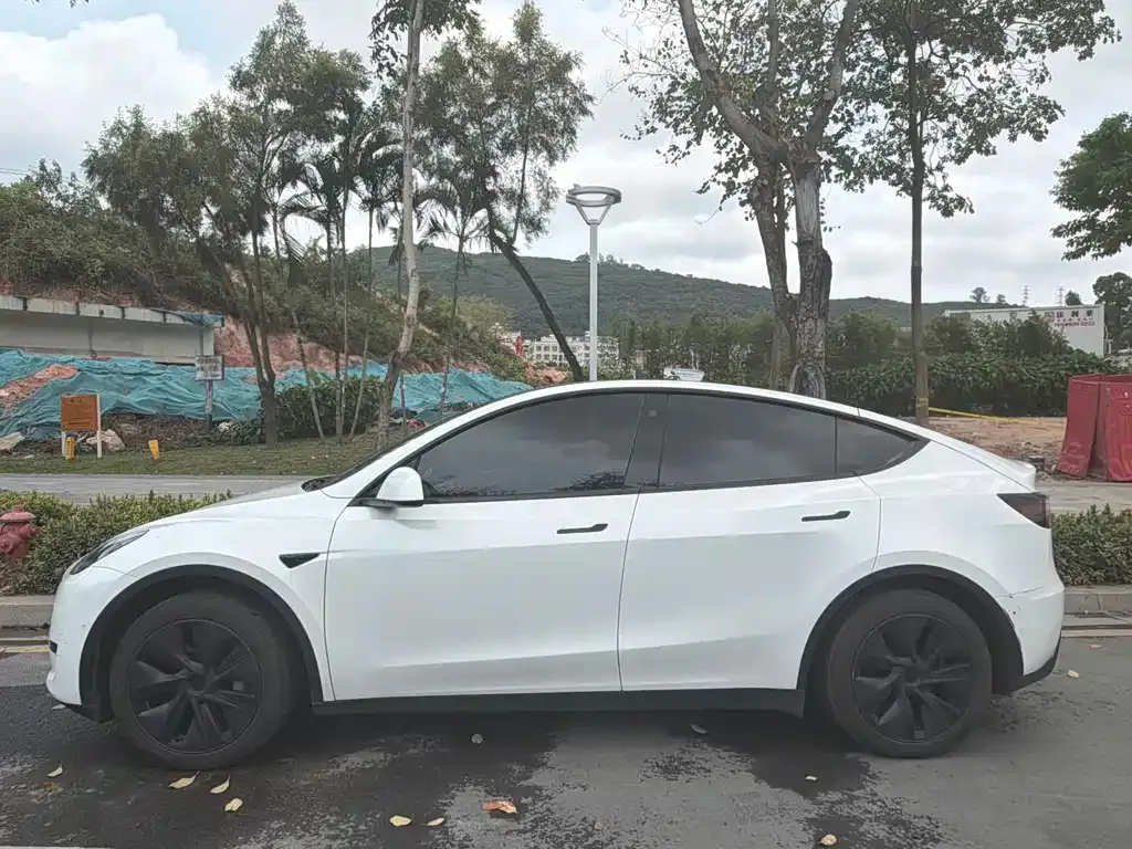 Tesla Model Y — фото 10