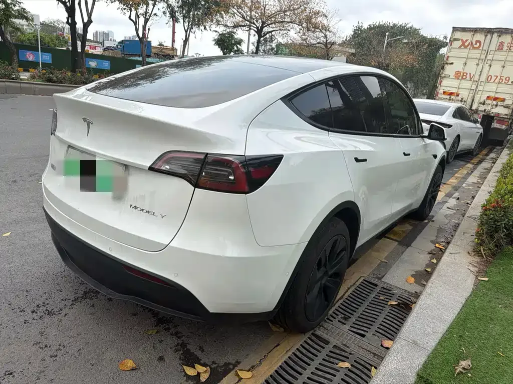 Tesla Model Y — фото 9