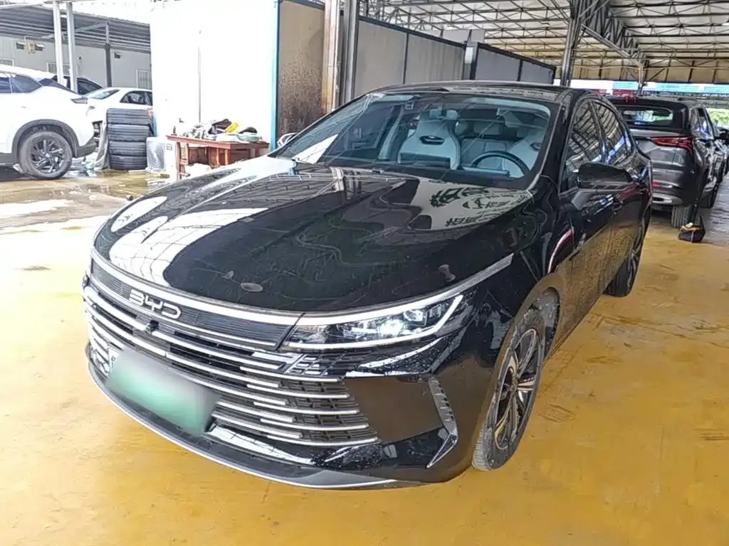 BYD Destroyer 05 2023 из CN, фото 4