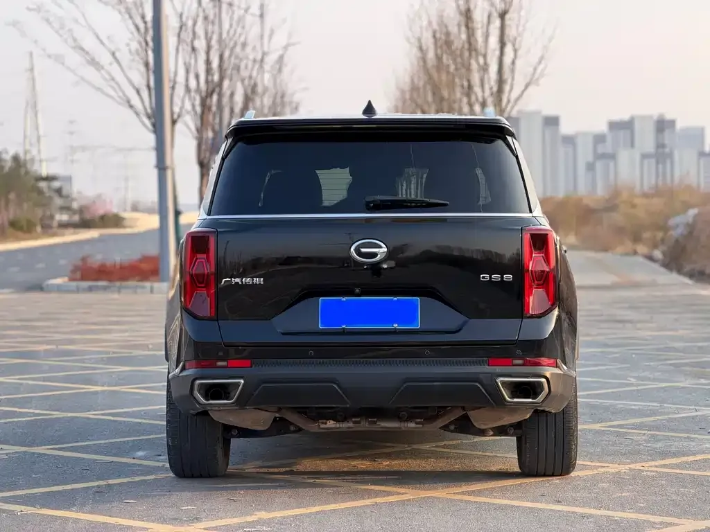 GAC Motor Trumpchi GS8 — фото 5