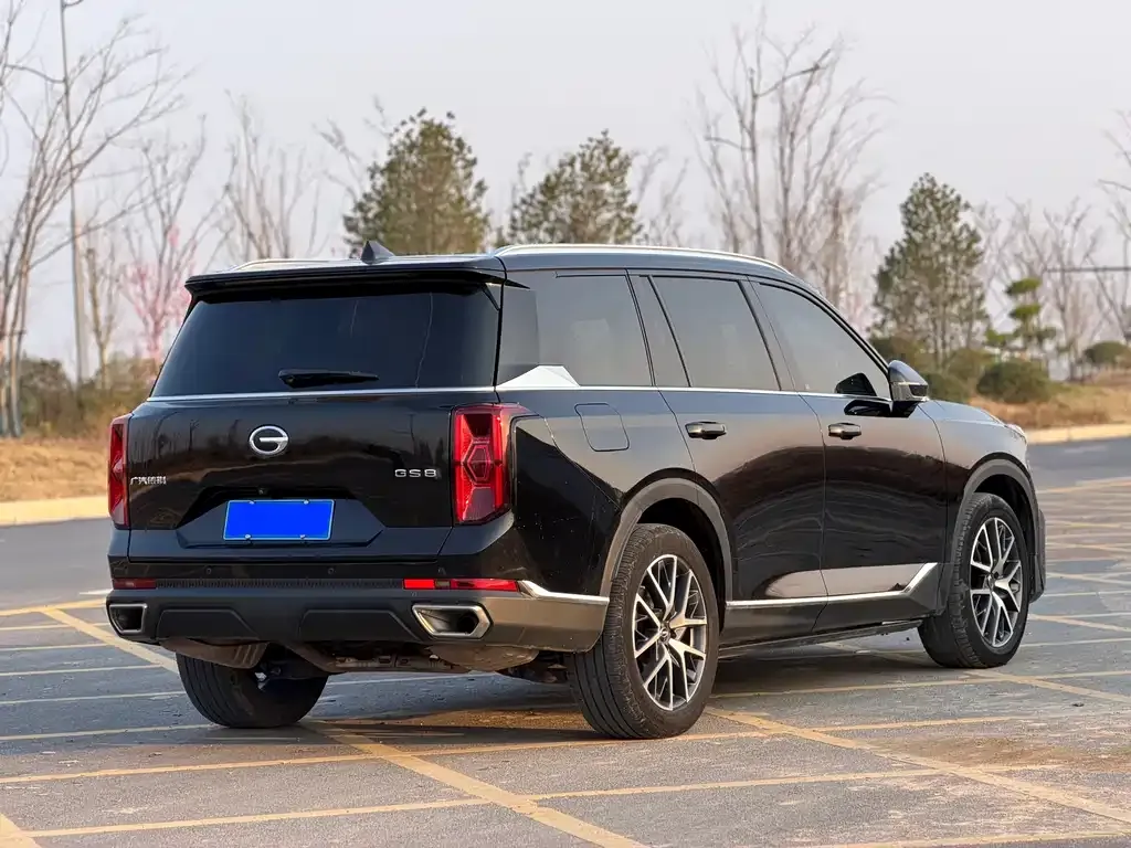 GAC Motor Trumpchi GS8 — фото 8