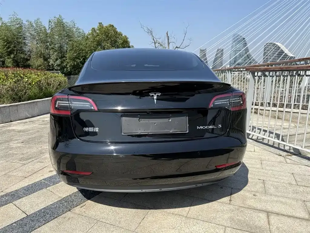 Tesla Model 3 2023 из CN, фото 5