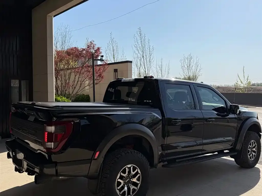 Ford F-150 Raptor — фото 2
