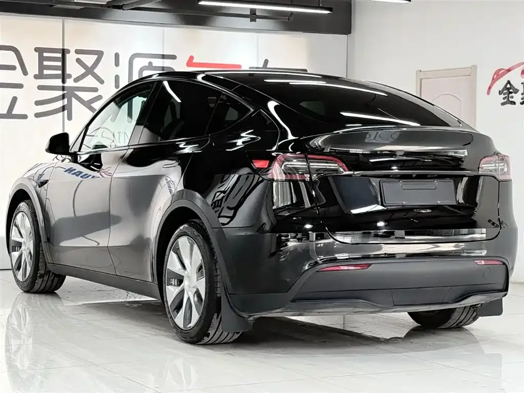 Tesla Model Y — фото 5