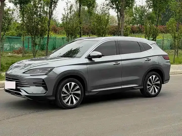 BYD PLUS New Energy — фото 1