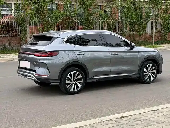 BYD PLUS New Energy — фото 8