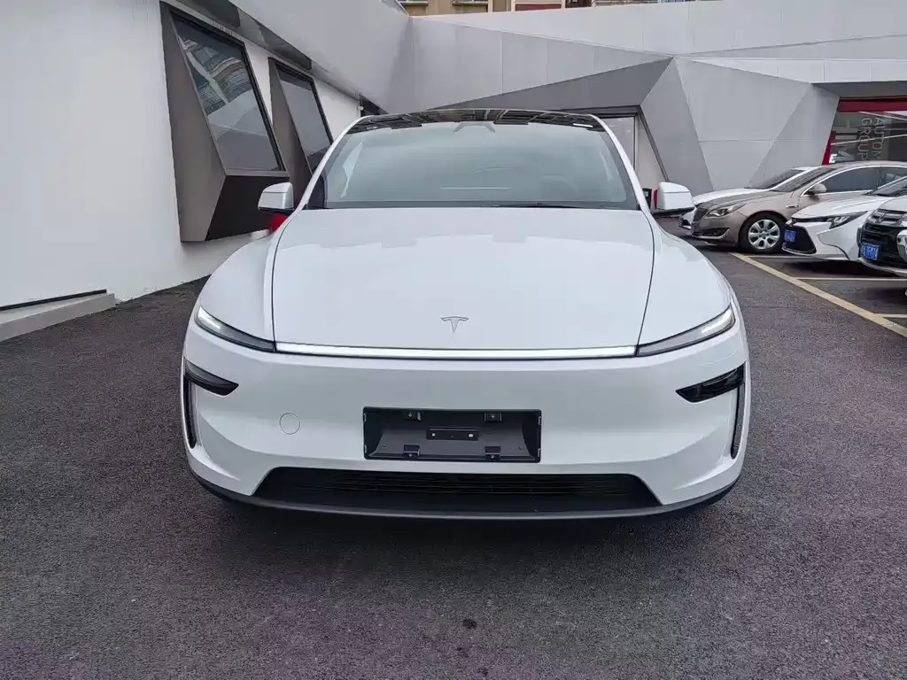 Tesla Model Y — фото 8