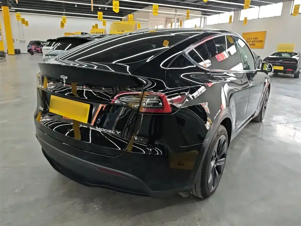 Tesla Model Y — фото 10