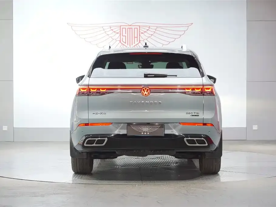 Volkswagen Tavendor 2023 из CN, фото 4