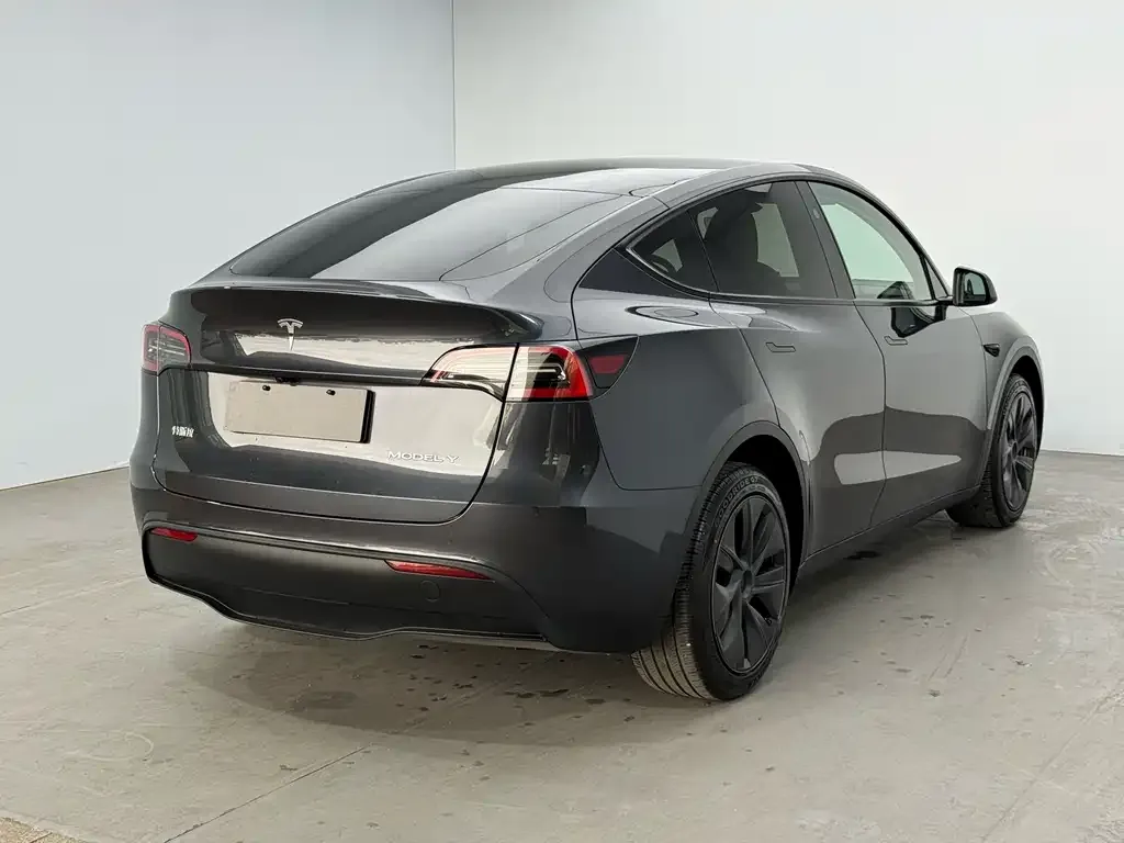 Tesla Model Y — фото 5