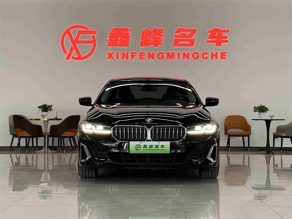 BMW 5 Series New Energy 2021 из CN, фото 2