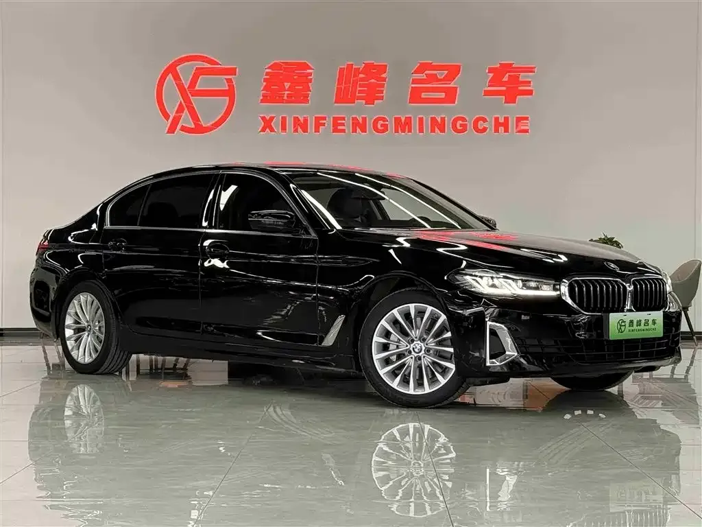 BMW 5 Series New Energy 2021 из CN, фото 3