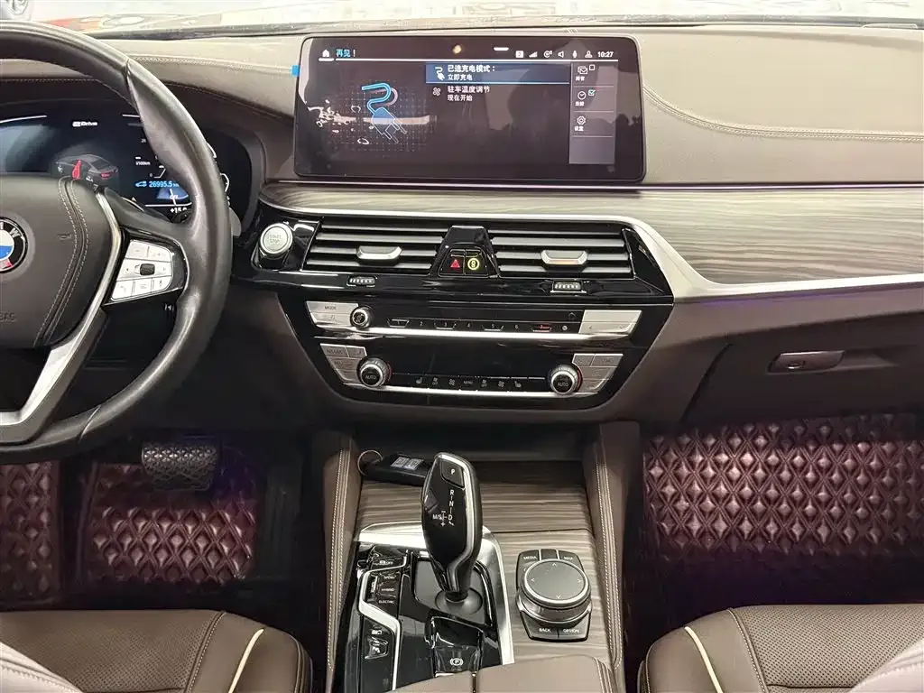 BMW 5 Series New Energy 2021 из CN, фото 6