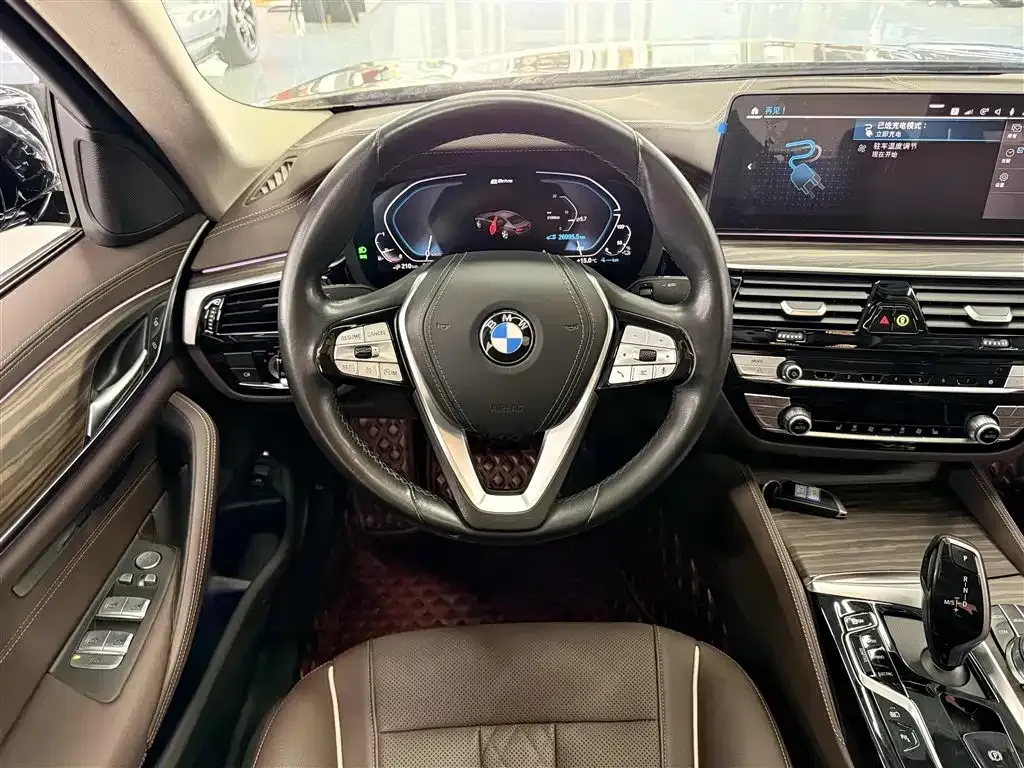 BMW 5 Series New Energy 2021 из CN, фото 9