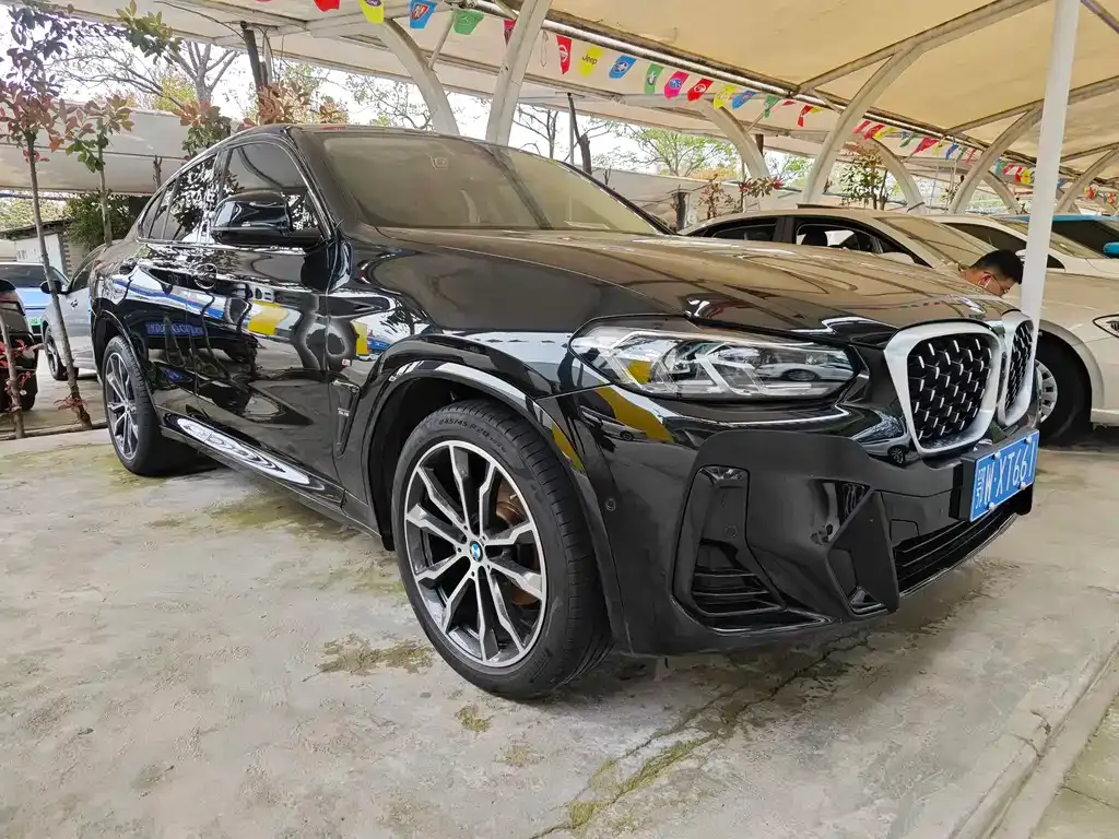 BMW X4 — фото 10