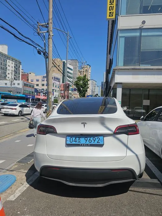 Tesla Model Y — фото 10